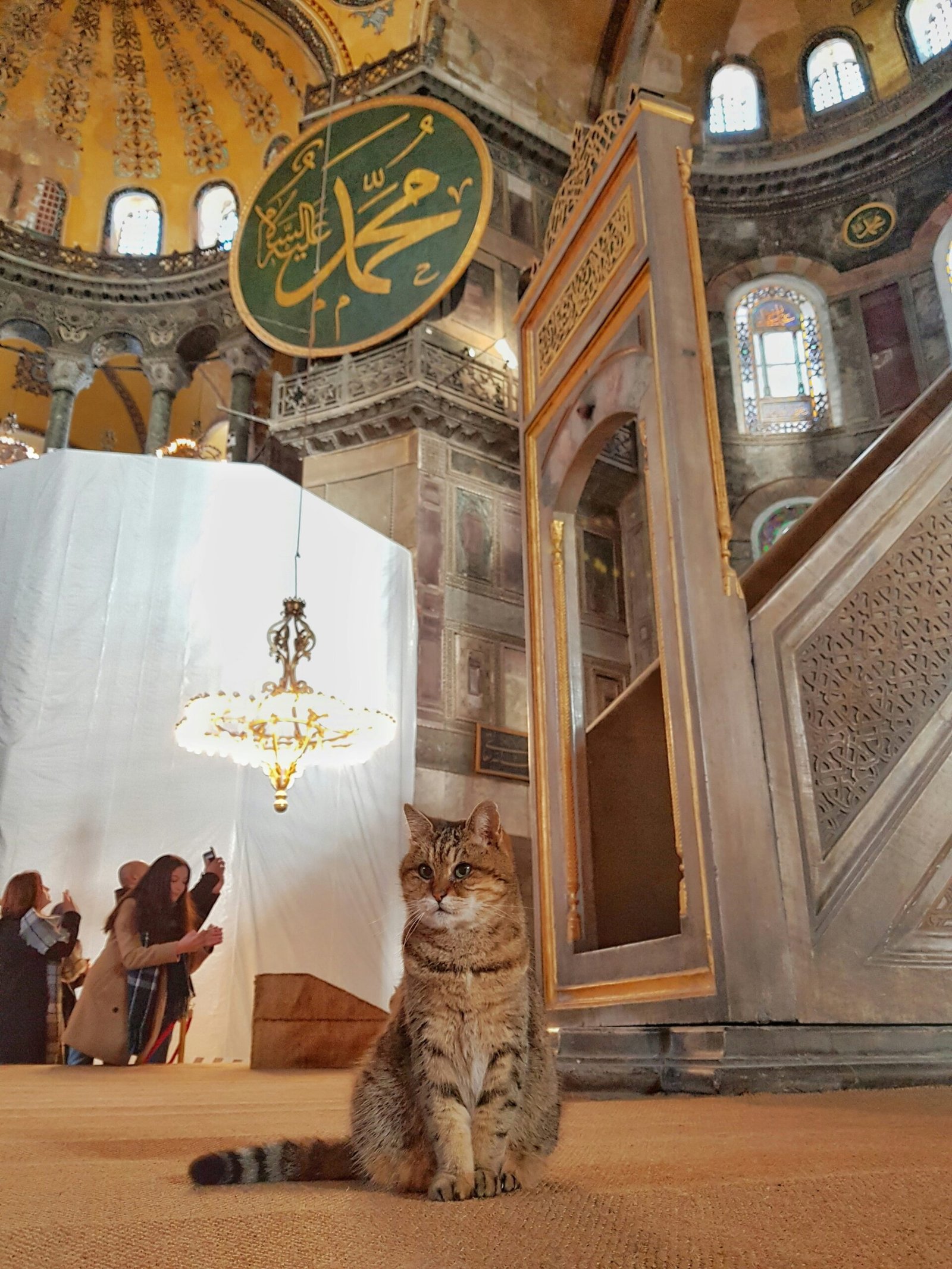 Beyoğlu’ndan Duyulara Yolculuk: Kolonya’nın Büyülü Dünyası